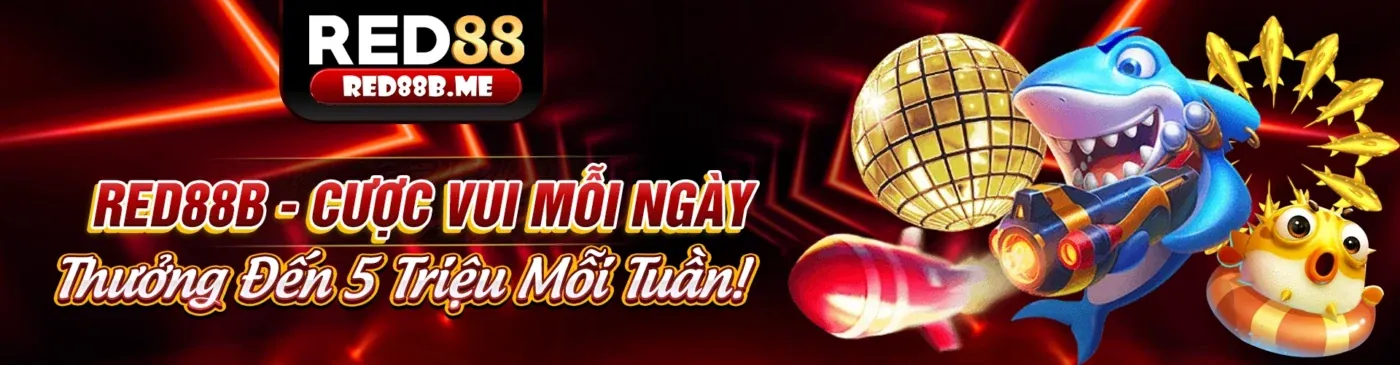 Hình ảnh minh họa cookie là gì và cách chúng hoạt động trên trình duyệt web